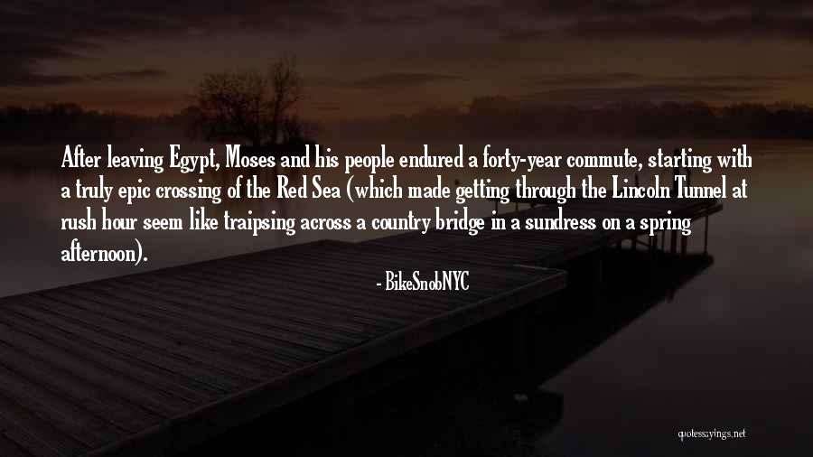 Leaving The Sea Quotes By BikeSnobNYC Leaving The Sea Quotes By BikeSnobNYC
