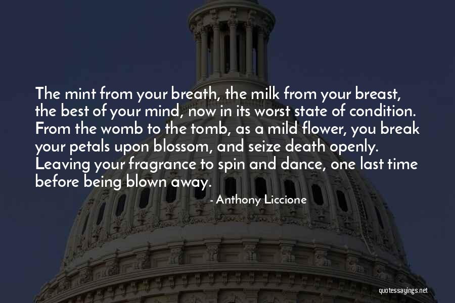 Leaving The State Quotes By Anthony Liccione