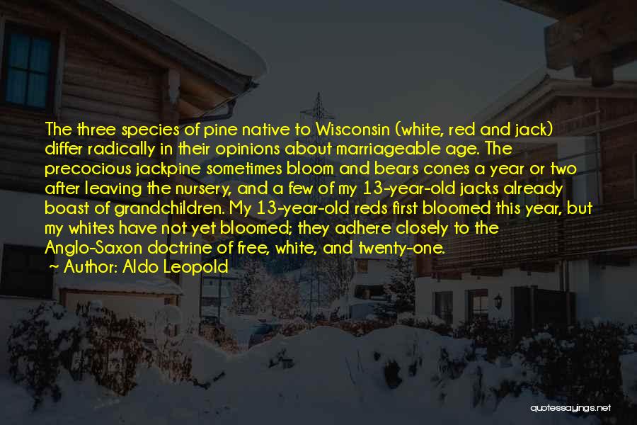 Leaving The Year Quotes By Aldo Leopold