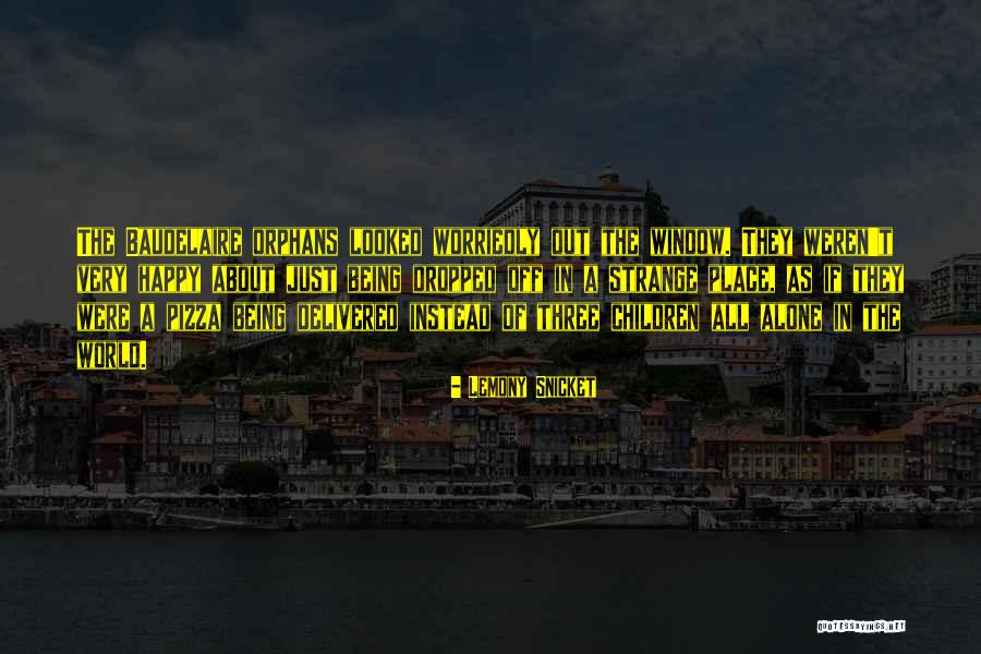Leavy Brothers Quotes By Lemony Snicket Leavy Brothers Quotes By Lemony Snicket