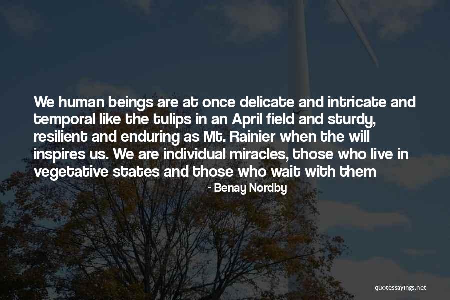 Lebecq Painting Quotes By Benay Nordby Lebecq Painting Quotes By Benay Nordby