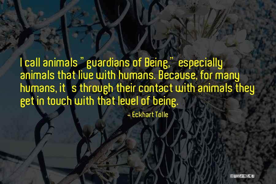 Lebendiges Land Quotes By Eckhart Tolle Lebendiges Land Quotes By Eckhart Tolle