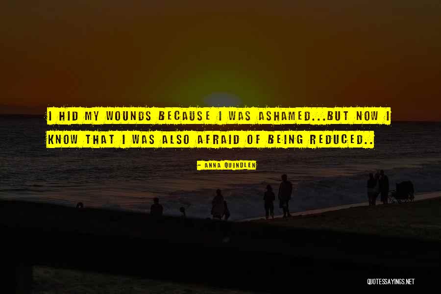 Lebensart Menden Quotes By Anna Quindlen Lebensart Menden Quotes By Anna Quindlen