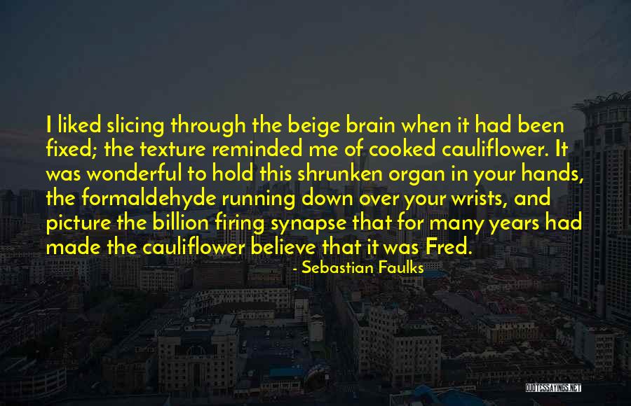 Lebohang Mthunzi Quotes By Sebastian Faulks Lebohang Mthunzi Quotes By Sebastian Faulks