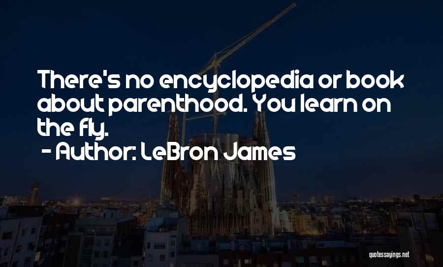 LeBron James Quotes 113187