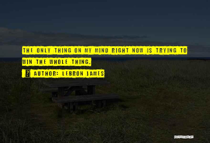 LeBron James Quotes 1550814