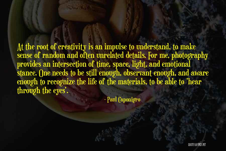 Lecasefranche Quotes By Paul Caponigro Lecasefranche Quotes By Paul Caponigro