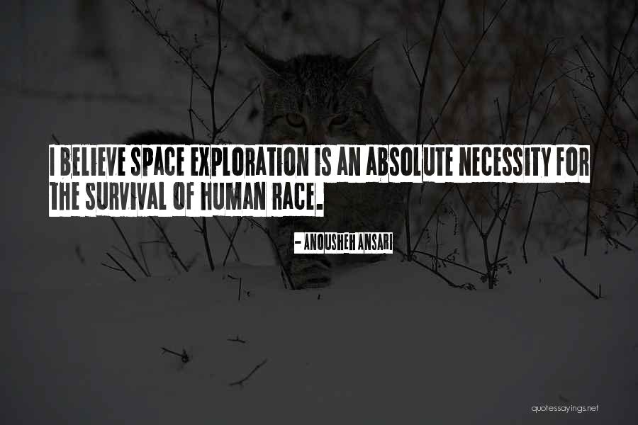 Lecekts Quotes By Anousheh Ansari Lecekts Quotes By Anousheh Ansari