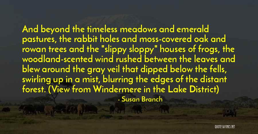 Lecito Sinonimo Quotes By Susan Branch Lecito Sinonimo Quotes By Susan Branch