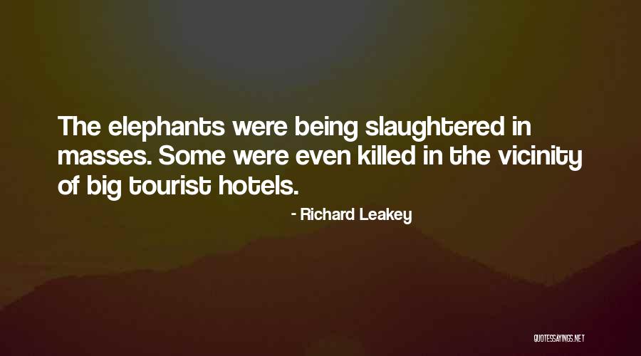 Leclercq Cousolre Quotes By Richard Leakey Leclercq Cousolre Quotes By Richard Leakey