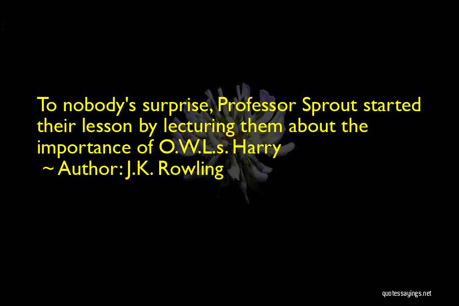 Lecturing Others Quotes By J.K. Rowling