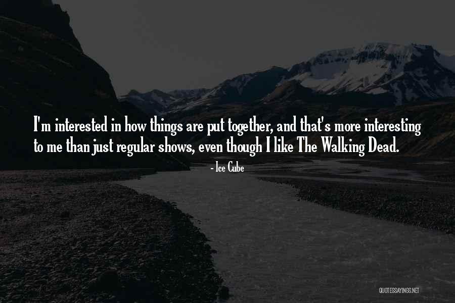 Lederer And Nojima Quotes By Ice Cube Lederer And Nojima Quotes By Ice Cube