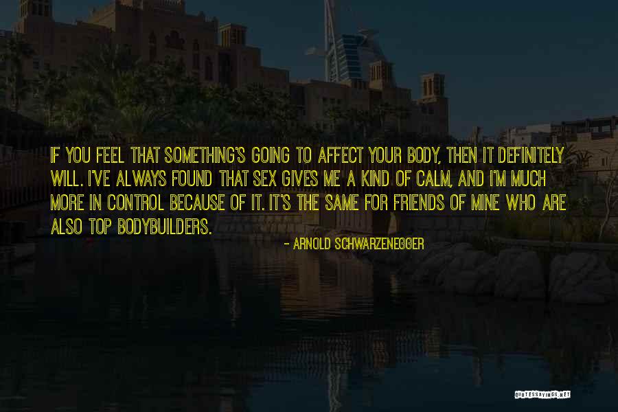 Ledesma And Meyer Quotes By Arnold Schwarzenegger Ledesma And Meyer Quotes By Arnold Schwarzenegger