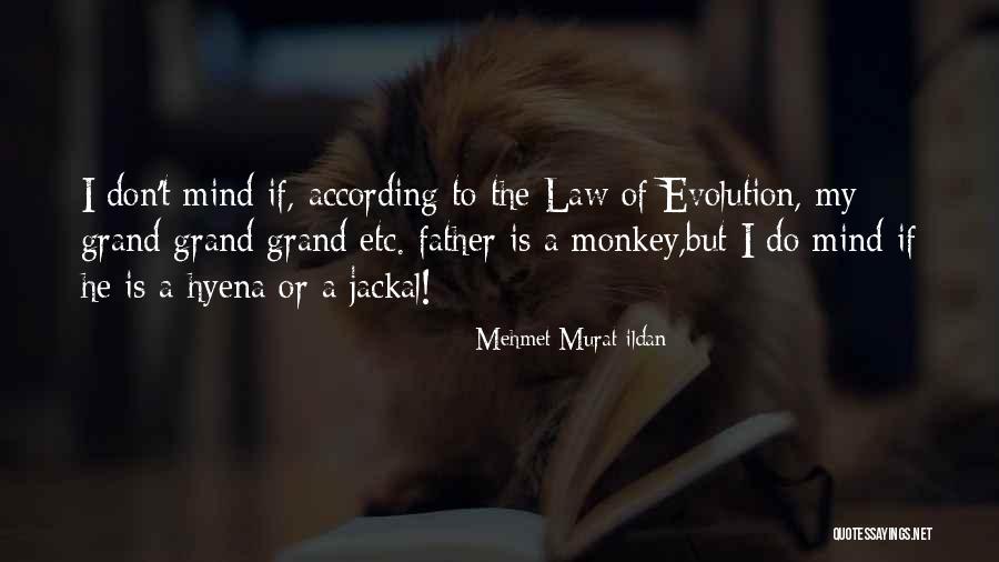 Ledora Scardigli Quotes By Mehmet Murat Ildan Ledora Scardigli Quotes By Mehmet Murat Ildan