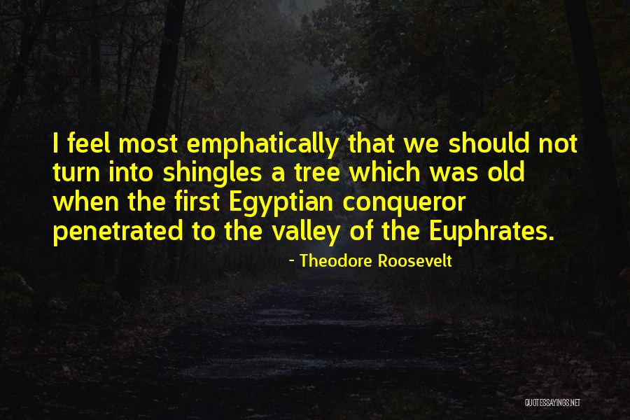 Ledora Summers Quotes By Theodore Roosevelt Ledora Summers Quotes By Theodore Roosevelt