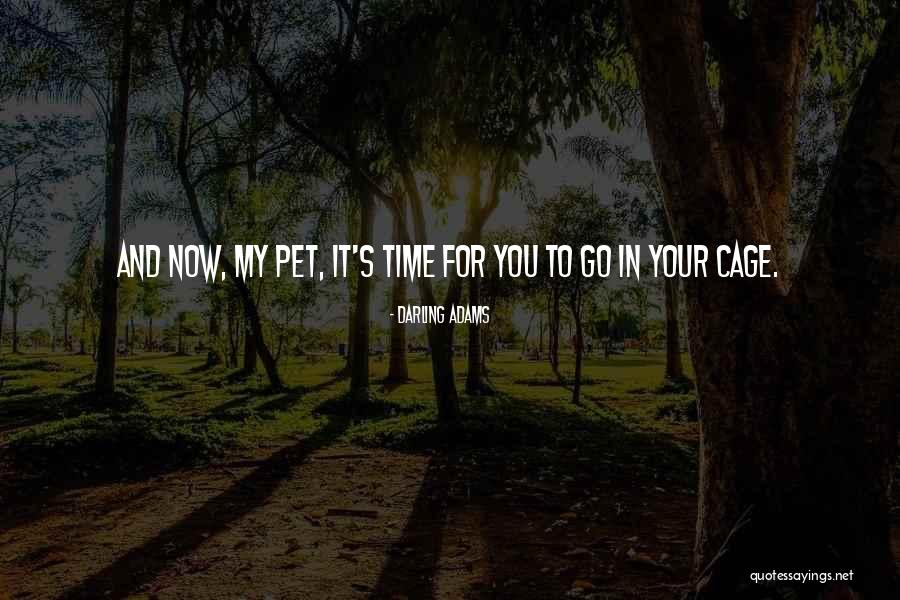 Ledwaba Attorneys Quotes By Darling Adams Ledwaba Attorneys Quotes By Darling Adams