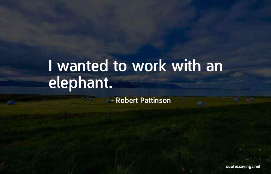 Lee Ann Peters Quotes By Robert Pattinson Lee Ann Peters Quotes By Robert Pattinson
