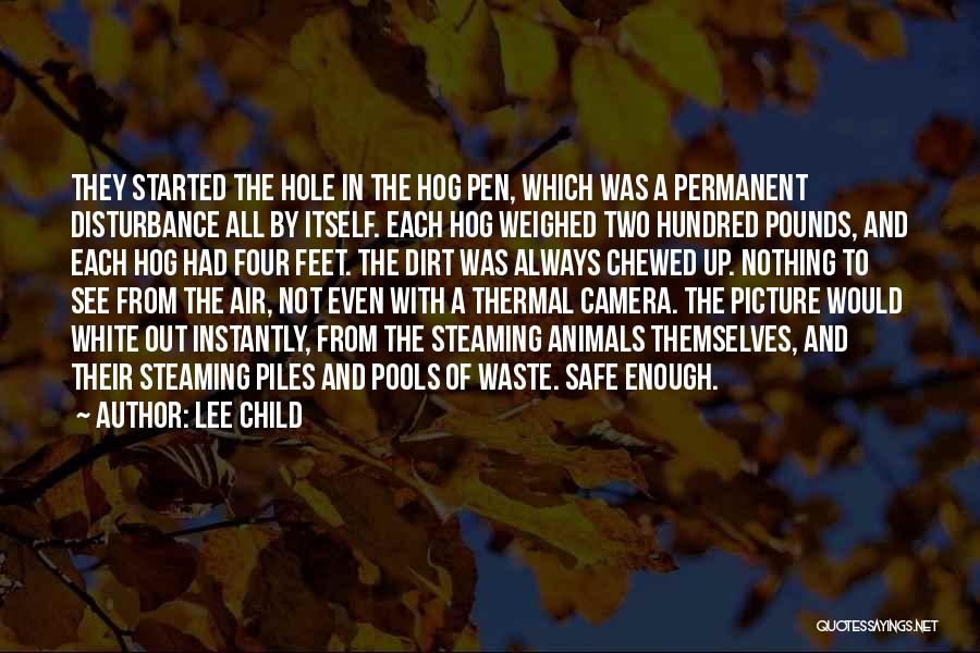 Lee Child Quotes 936801