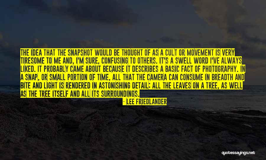 Lee Friedlander Quotes 1496051 Lee Friedlander Quotes 1496051