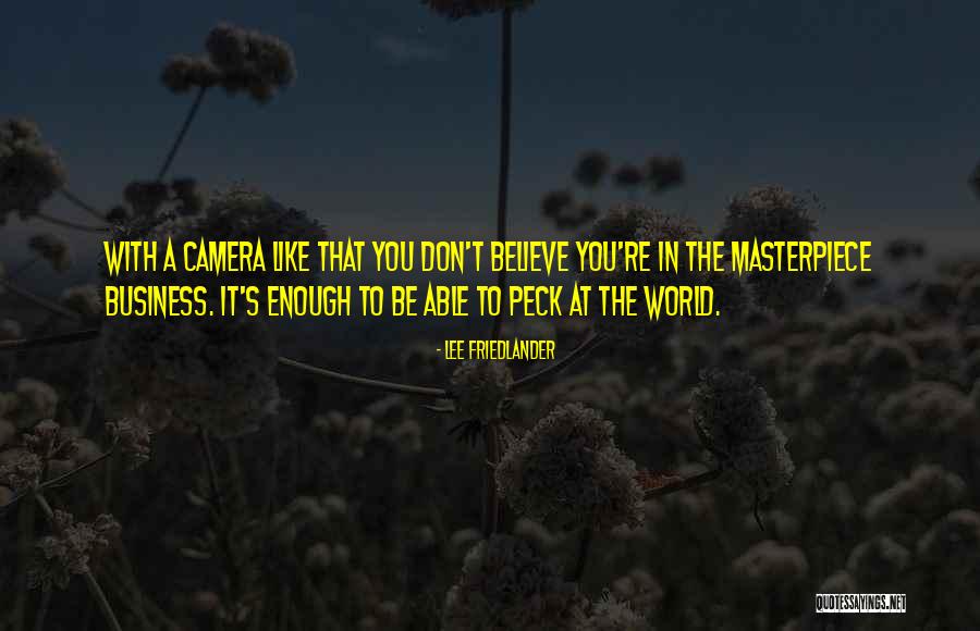 Lee Friedlander Quotes 2243039 Lee Friedlander Quotes 2243039