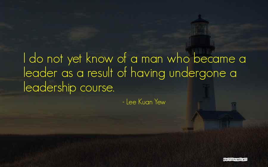 Lee Kuan Yew's Quotes By Lee Kuan Yew