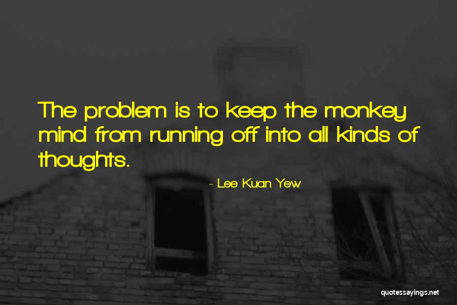 Lee Kuan Yew's Quotes By Lee Kuan Yew