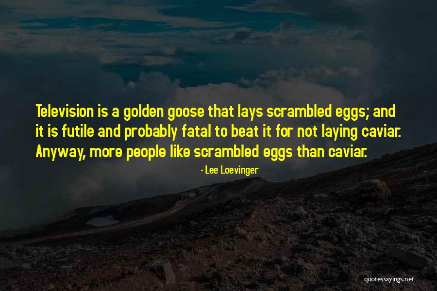 Lee Loevinger Quotes 922152