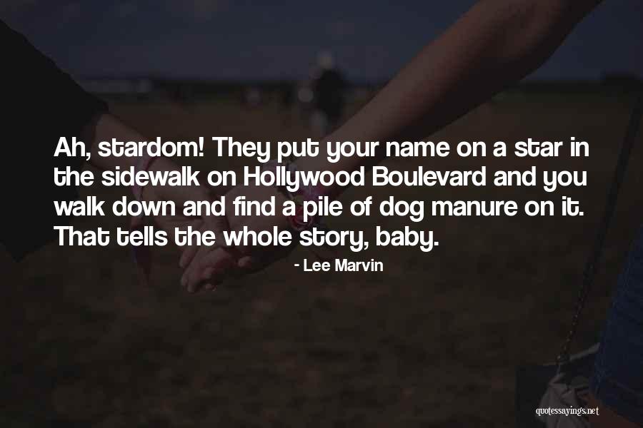 Lee Marvin Quotes 327398