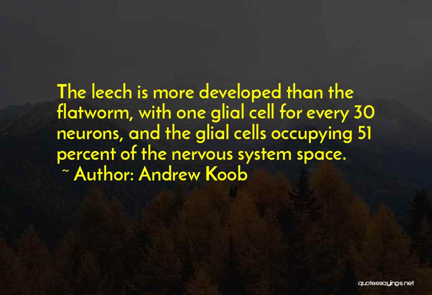 Leech Quotes By Andrew Koob