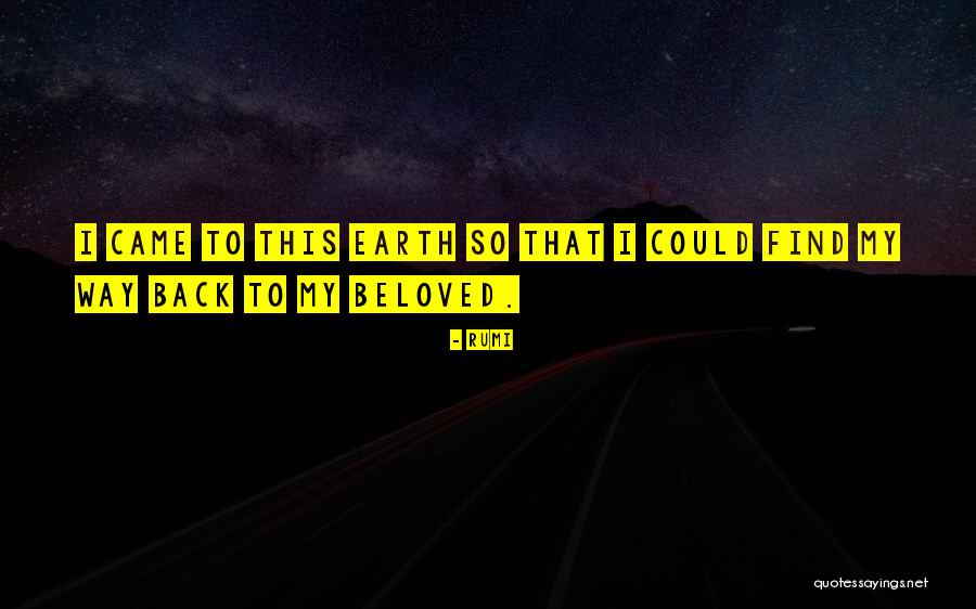 Leechee Nuts Quotes By Rumi Leechee Nuts Quotes By Rumi