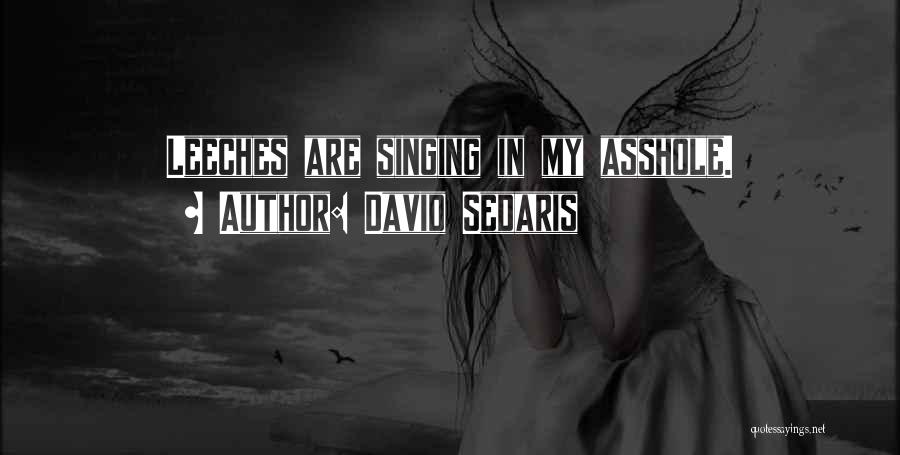 Leeches Quotes By David Sedaris