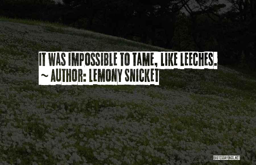 Leeches Quotes By Lemony Snicket