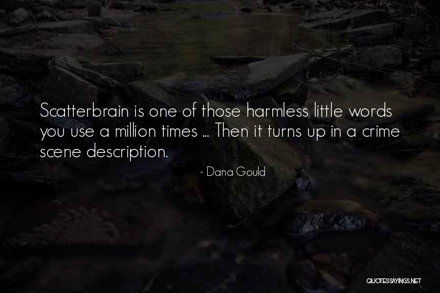 Leekes Kitchens Quotes By Dana Gould Leekes Kitchens Quotes By Dana Gould