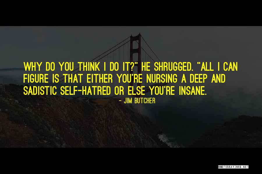 Leendert De Vis Quotes By Jim Butcher Leendert De Vis Quotes By Jim Butcher