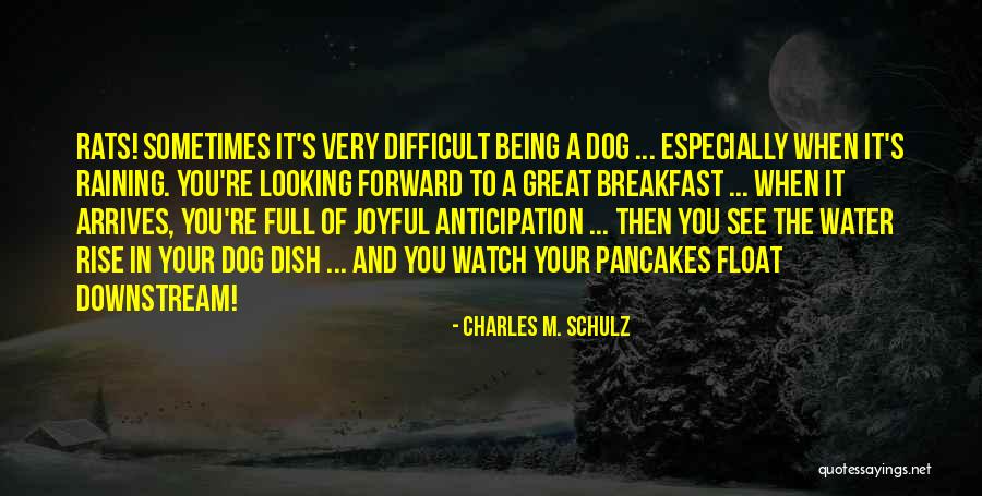 Leentje De Leeuw Quotes By Charles M. Schulz Leentje De Leeuw Quotes By Charles M. Schulz