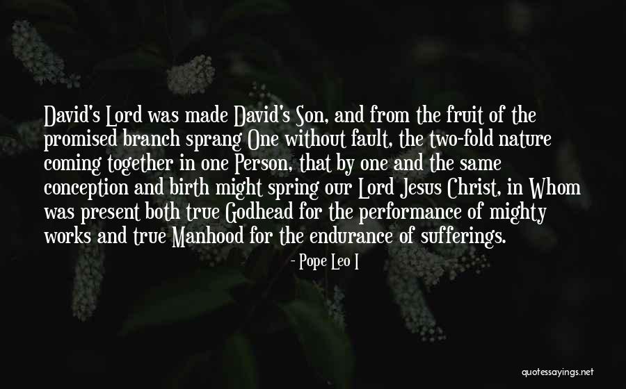Leeves Jane Quotes By Pope Leo I Leeves Jane Quotes By Pope Leo I