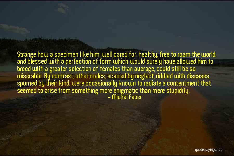 Lefkimmi Quotes By Michel Faber Lefkimmi Quotes By Michel Faber