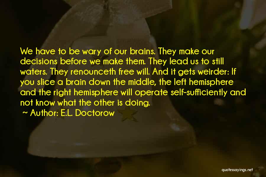 Left And Right Brain Quotes By E.L. Doctorow