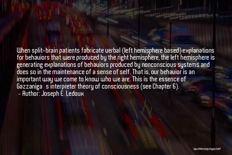 Left And Right Brain Quotes By Joseph E. Ledoux