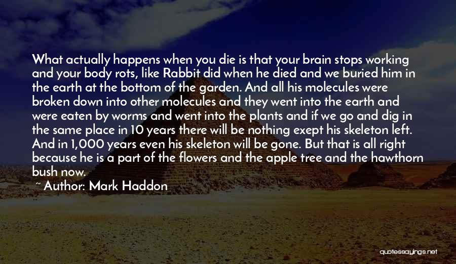 Left And Right Brain Quotes By Mark Haddon