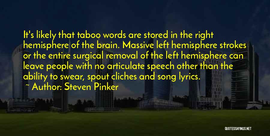 Left And Right Brain Quotes By Steven Pinker