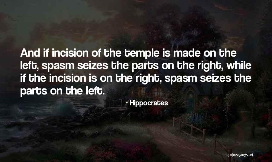 Left Brain Right Brain Quotes By Hippocrates Left Brain Right Brain Quotes By Hippocrates