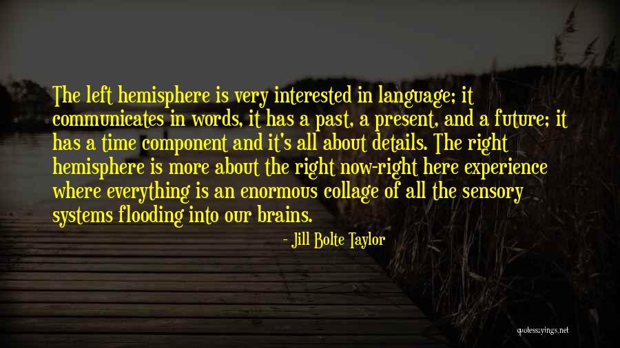 Left Brain Right Brain Quotes By Jill Bolte Taylor Left Brain Right Brain Quotes By Jill Bolte Taylor