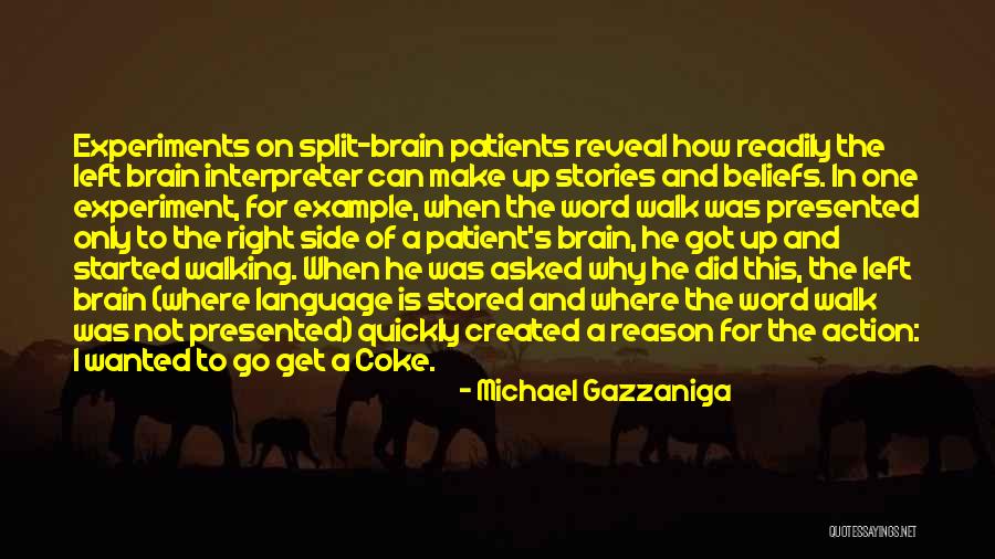 Left Brain Right Brain Quotes By Michael Gazzaniga Left Brain Right Brain Quotes By Michael Gazzaniga