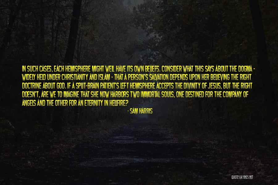 Left Brain Right Brain Quotes By Sam Harris Left Brain Right Brain Quotes By Sam Harris
