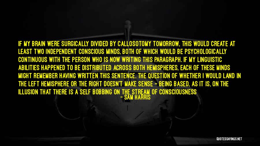 Left Brain Right Brain Quotes By Sam Harris Left Brain Right Brain Quotes By Sam Harris