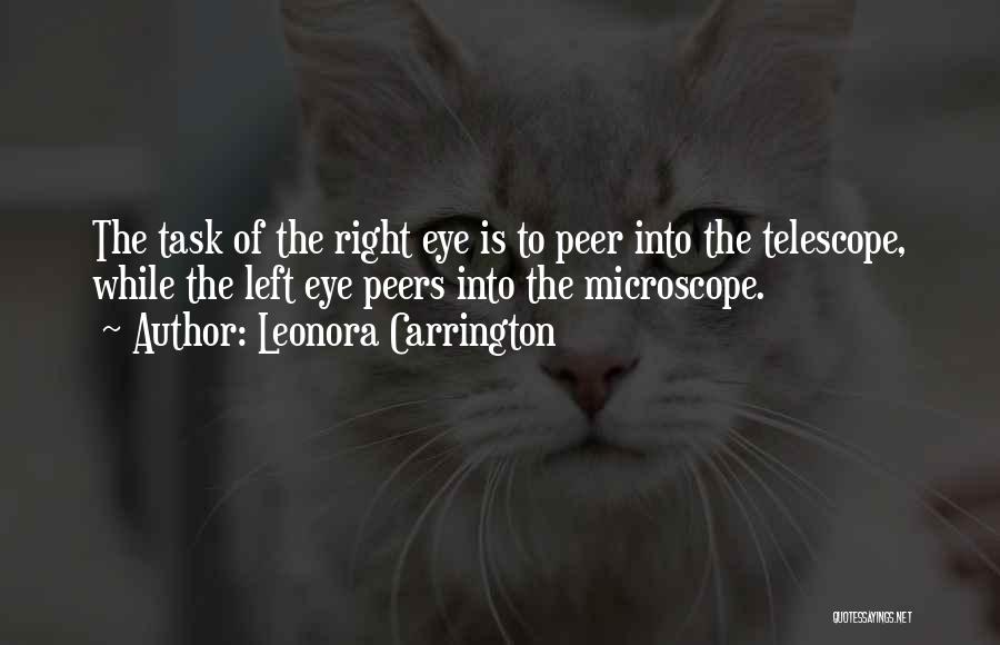 Left Eye Quotes By Leonora Carrington