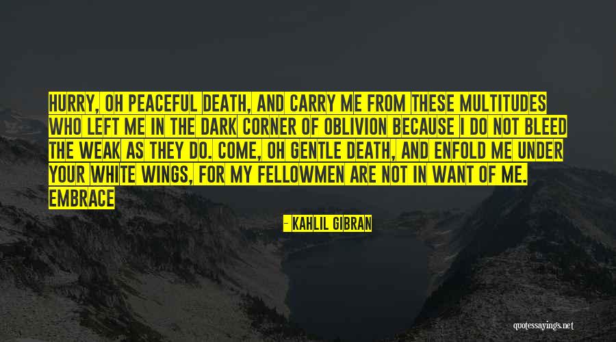 Left In The Dark Quotes By Kahlil Gibran