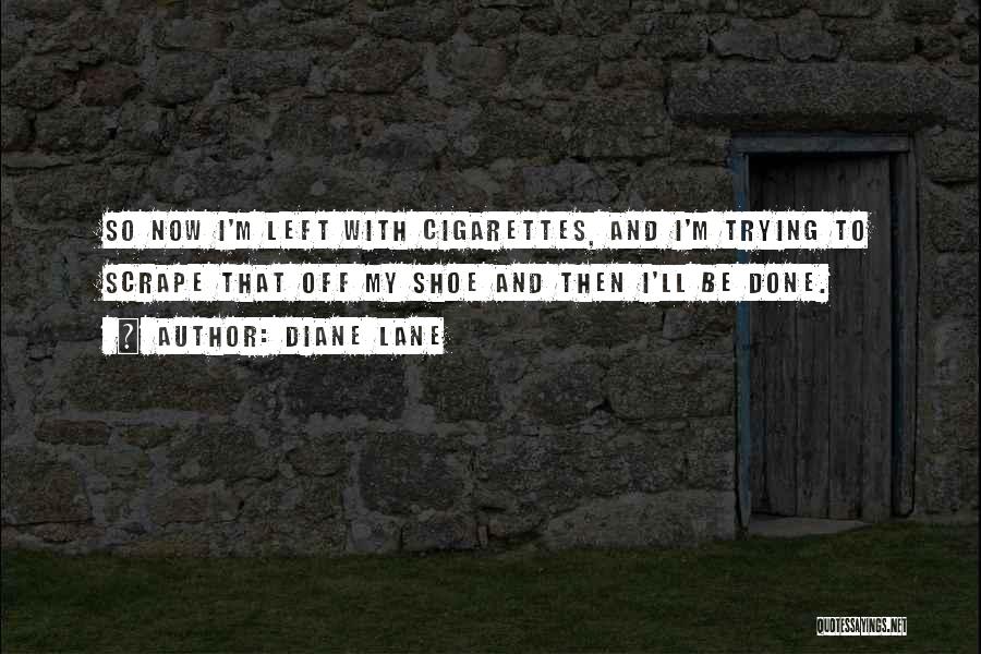 Left Lane Quotes By Diane Lane