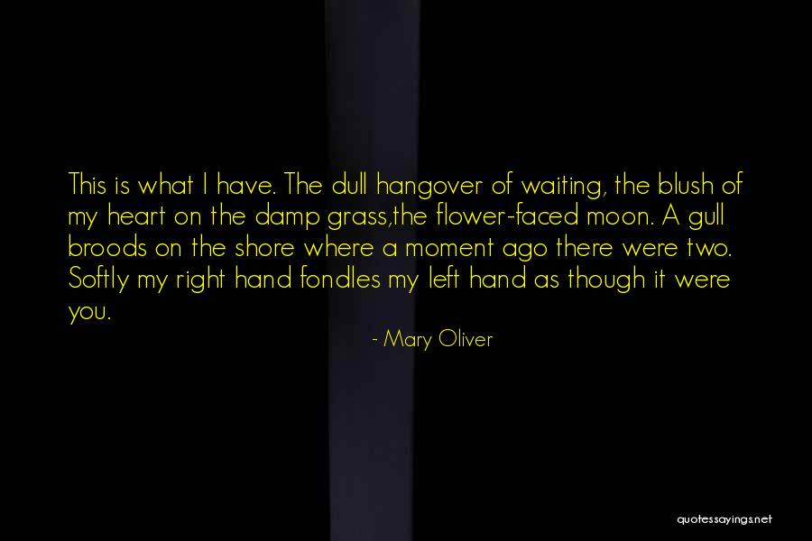 Left Me For His Ex Quotes By Mary Oliver Left Me For His Ex Quotes By Mary Oliver